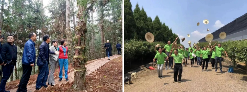 森宇控股集团